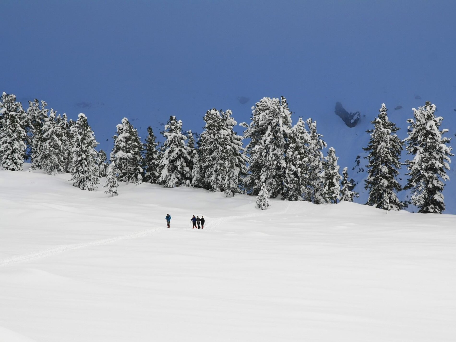 Snowshoe hiking